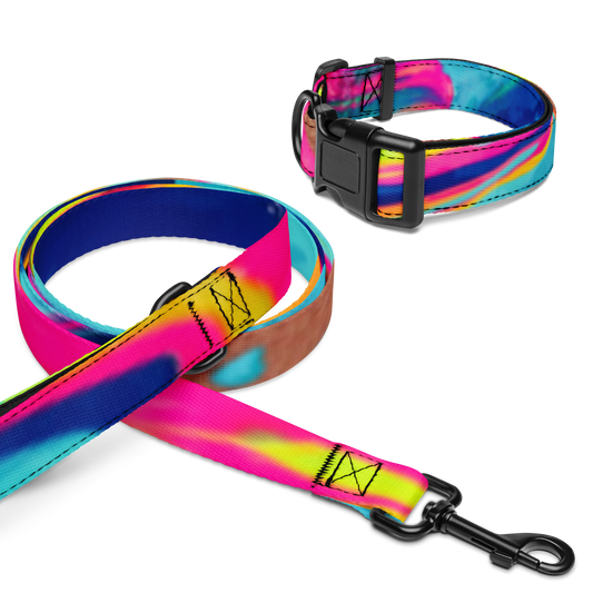 Dog Collar & Leash